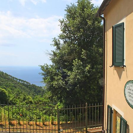 I Lecci Di Soviore Monterosso al Mare Exteriör bild